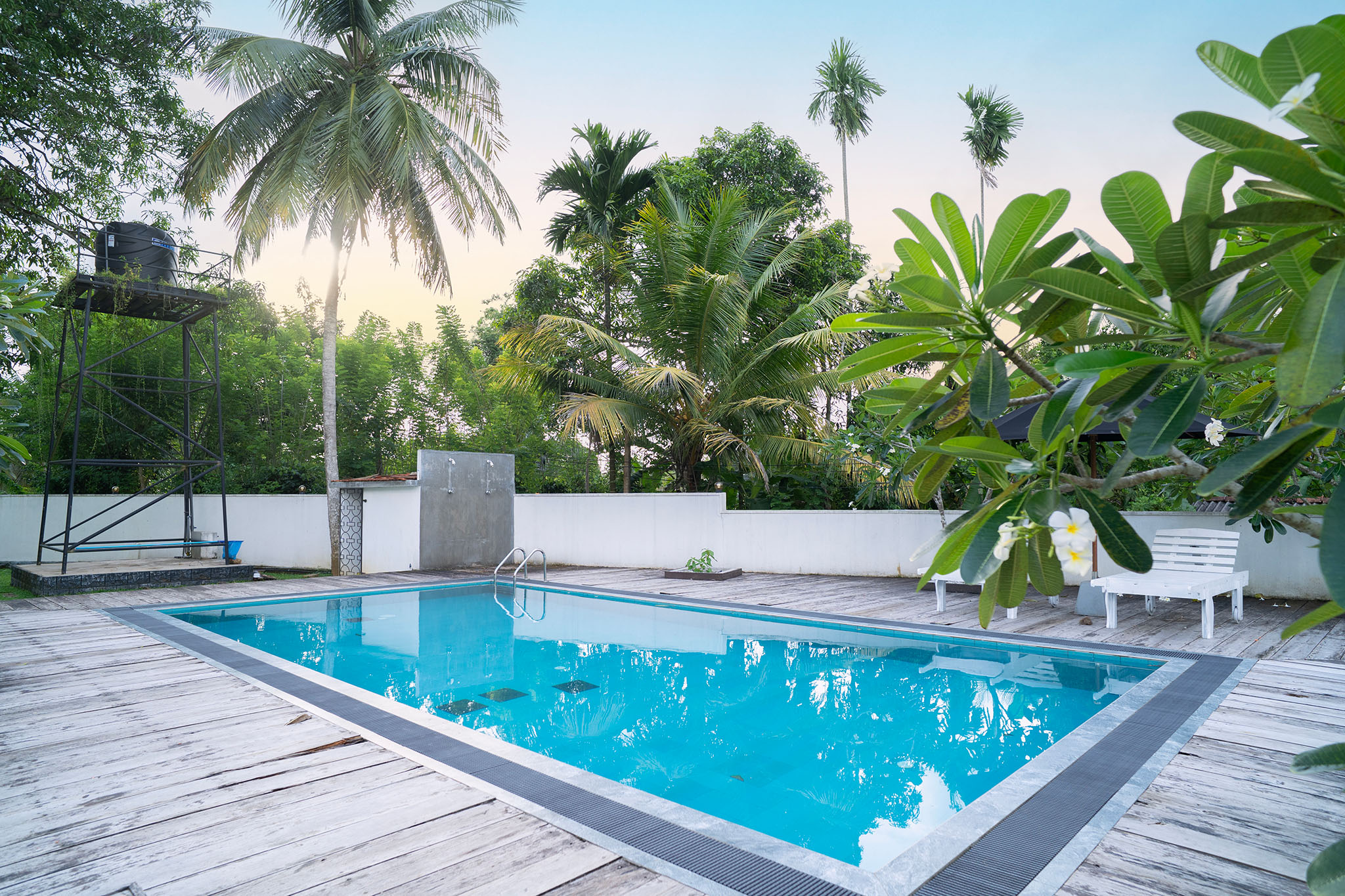 Wide view of the timber pool deck, garden swing and lawn furniture beneath the tree canopy