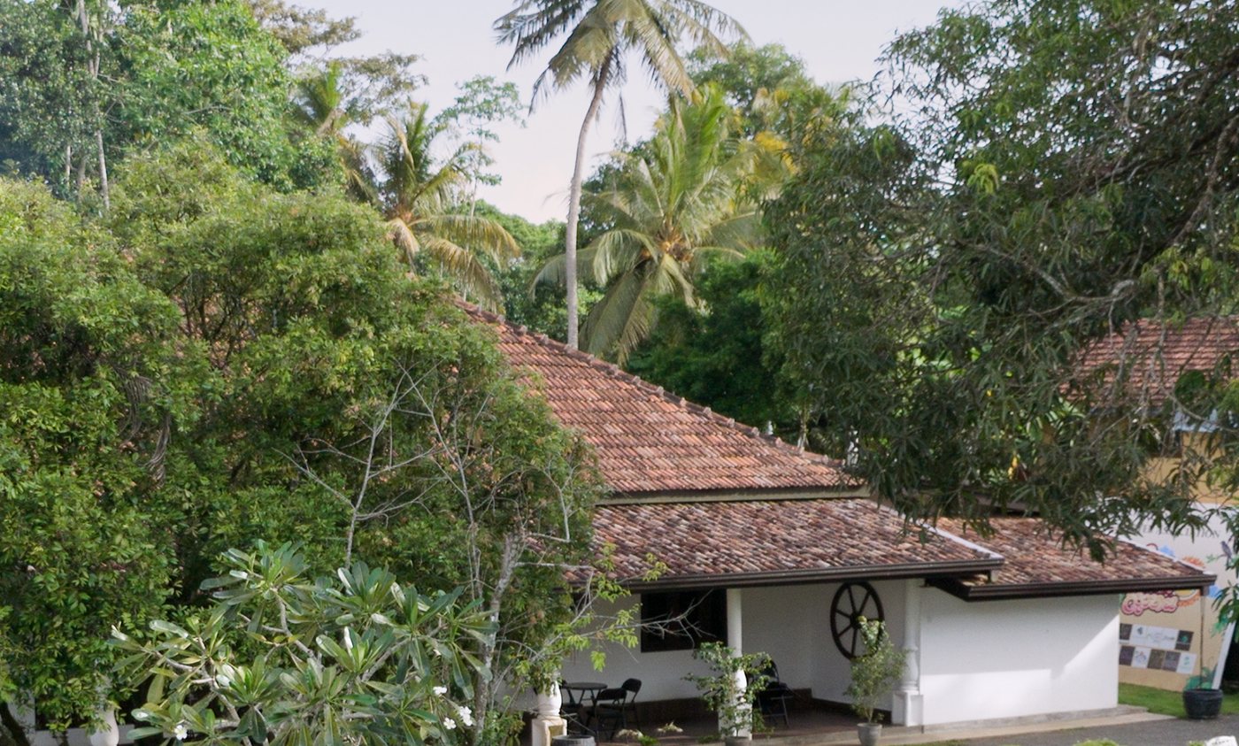 The villa's grounds, seen from the pool deck